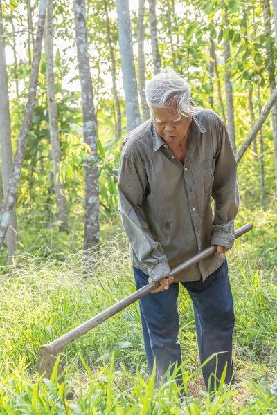 Homem jardineiro cortando grama com enxada — Fotografia de Stock