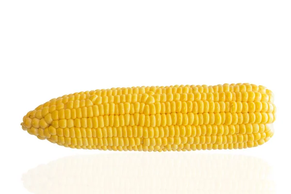 Fresh sweet corn — Stock Photo, Image