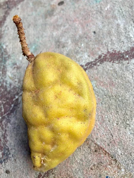 Cynometra cauliflora frukt — Stockfoto