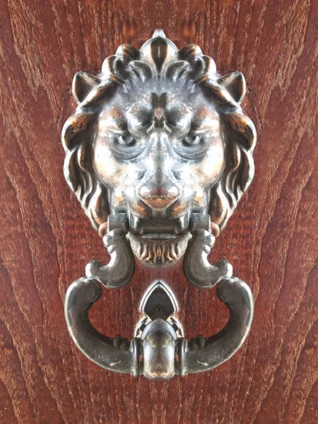 Handle lion on wood — Stock Photo, Image