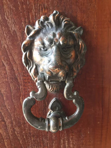 Handle lion on wood — Stock Photo, Image