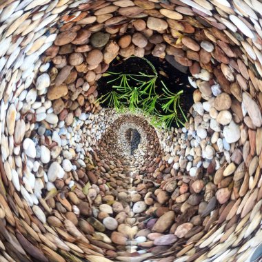 Yeşil bitki ile çakıl taş yığını