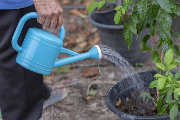 Primer Plano Anciana Mano Sosteniendo Plástico Puede Regar Gotas Agua — Foto de Stock