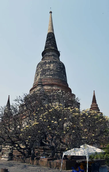 Ancien stupa dans le temple d'Ayutthaya . — Photo