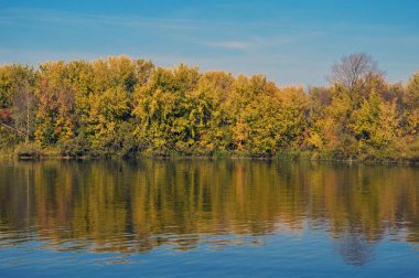 Nehir kıyısındaki sonbahar ormanı.