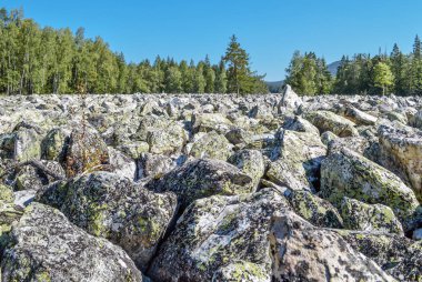 Taş nehrin Taganay Milli Parkı'nda.