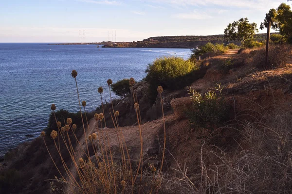 Sendero Pintoresco Largo Del Mar Largo Una Costa Rocosa Atardecer —  Fotos de Stock