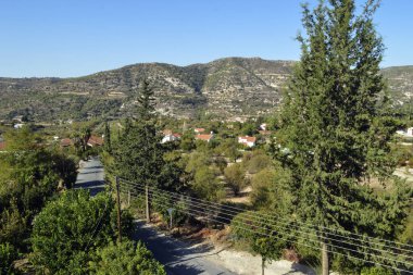Kıbrıs 'taki Troodos dağlarında güzel yeşil manzara.