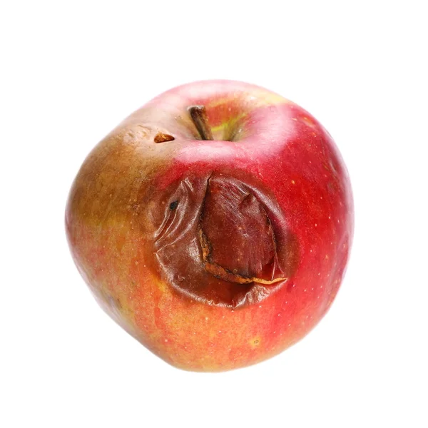 Manzana roja podrida aislada sobre fondo blanco, camino de recorte —  Fotos de Stock
