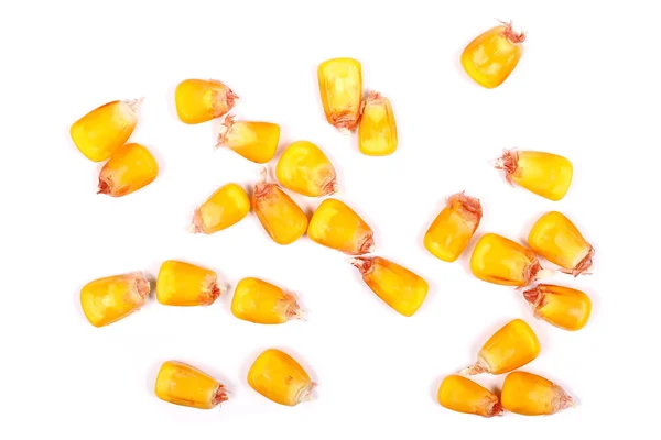Granos de maíz apilados aislados sobre fondo blanco —  Fotos de Stock