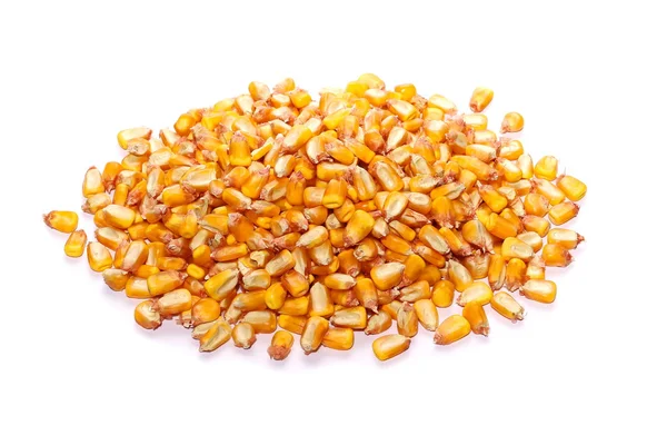 Pile corn grains isolated on white background — Stock Photo, Image