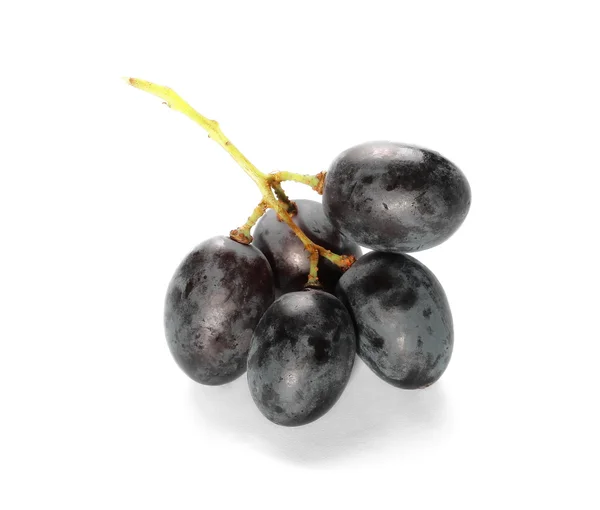 Dark grapes, isolated on white background — Stock Photo, Image