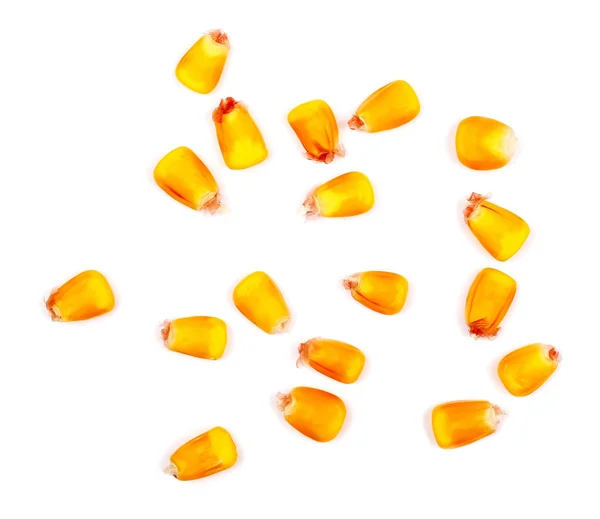 Кукурудзяні ядра ізольовані на білому фоні — стокове фото