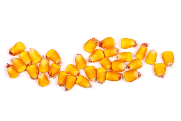 Pile corn kernels isolated on white background — ストック写真