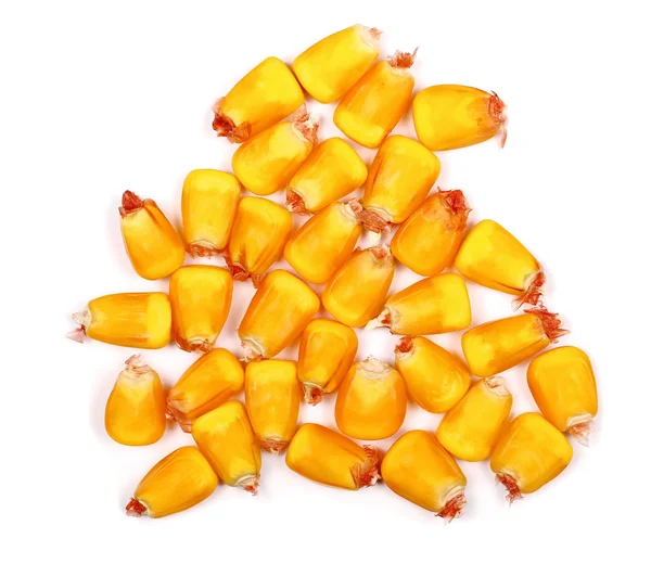 Pile corn kernels isolated on white background — ストック写真