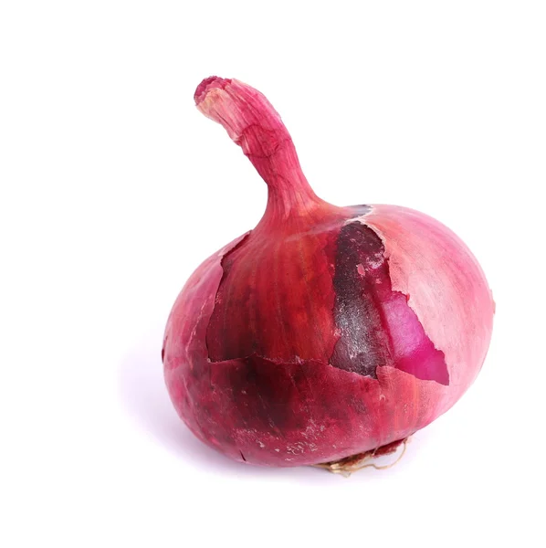 Red onion isolated on white background — Stock Photo, Image