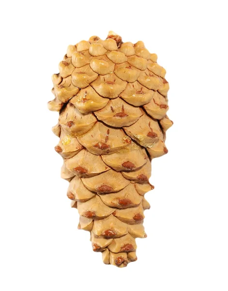 Pine tree cone isolated on white, christmas decoration, clipping path — Stock Photo, Image