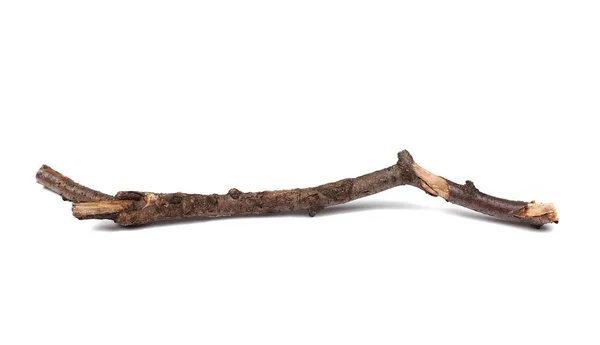 Twig, dry rotten branch with lichen isolated on white background — Stock Photo, Image