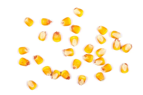 Grânulos de milho isolados sobre fundo branco — Fotografia de Stock