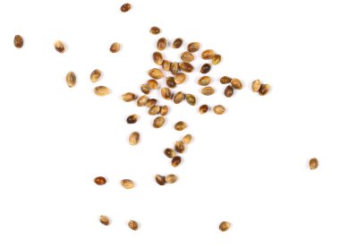 Beyaz arkaplanda yalıtılmış kenevir tohumları