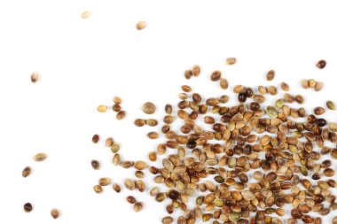 Beyaz arkaplanda yalıtılmış kenevir tohumları