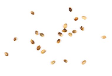 Beyaz arkaplanda yalıtılmış kenevir tohumları