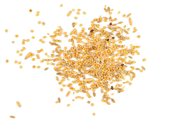 Beyaz izole karışık kuş tohum