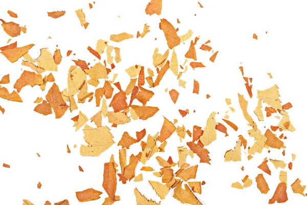 Färgglada bitar lämnar isolerade på vit bakgrund, höstens textur — Stockfoto