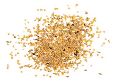 Beyaz izole karışık kuş tohum