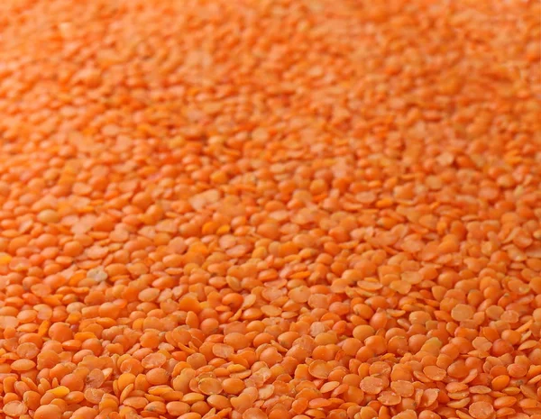 Orange lentils background and texture — Stock Photo, Image