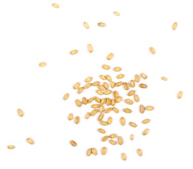 Beyaz arkaplanda yalıtılmış buğday tanesi