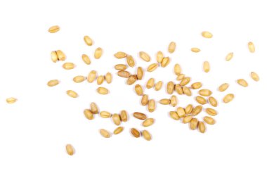 Beyaz arkaplanda yalıtılmış buğday tanesi