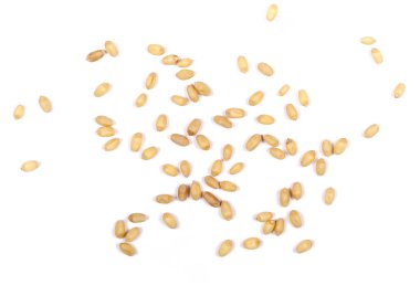 Beyaz arkaplanda yalıtılmış buğday tanesi