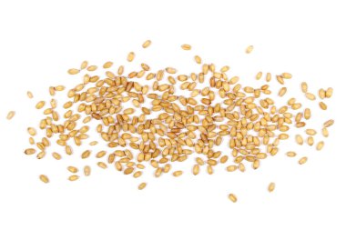 Beyaz arkaplanda yalıtılmış buğday tanesi