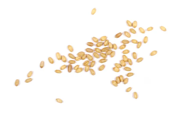 Pšeničná zrna izolované na bílém pozadí — Stock fotografie