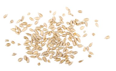 Beyaz arka plan üzerinde izole dövme Ayçekirdeği