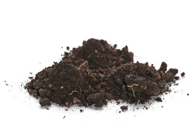  pile dirt isolated on white background, with clipping path clipart