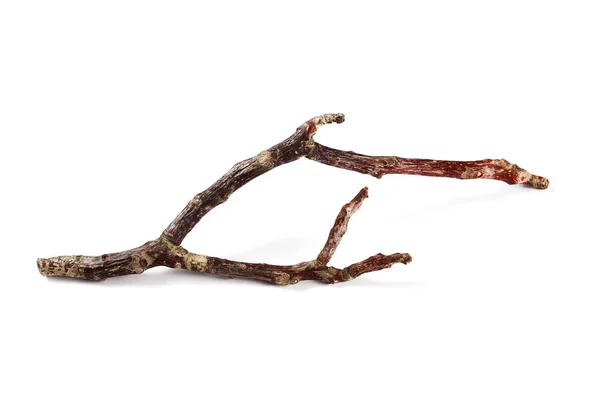 Dry rotten branch isolated on white background — Stock Photo, Image