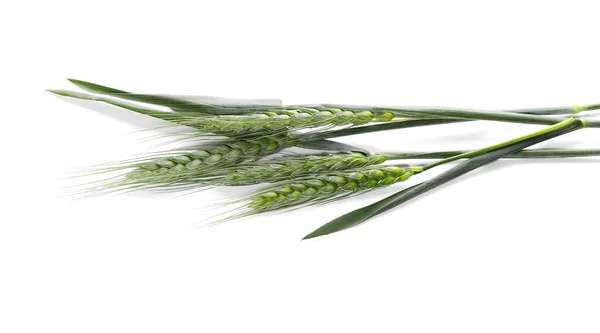 Espigas verdes de trigo isoladas sobre fundo branco, com trajetória de recorte — Fotografia de Stock