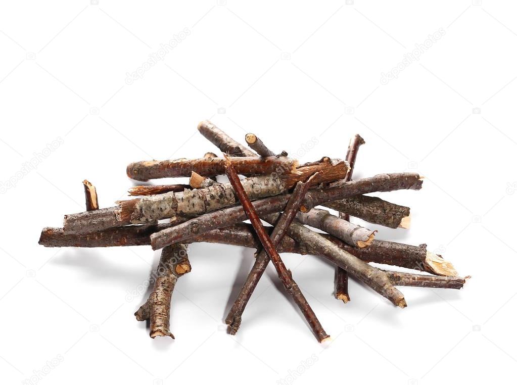 dry rotten birch branches pile for fire isolated on white background