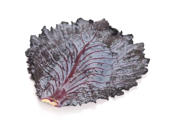Червона капуста з листям ізольовано на білому тлі — стокове фото