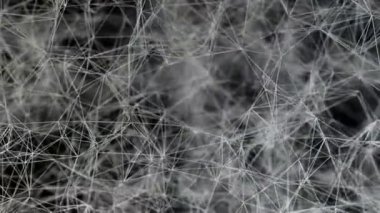 3D resimli karışık jattice ağ arka plan döngü. Neural net veya geometrik örümcek ağı benzer. 1920 x 1080. uzunluğunda 30 saniye.