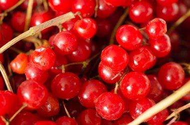 arka plan olarak kırmızı kartopu