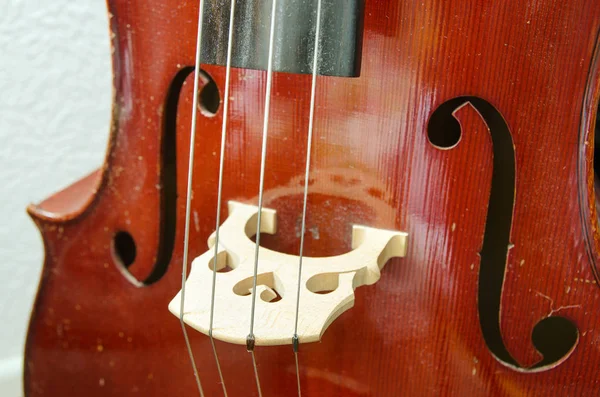 Cello aus nächster Nähe — Stockfoto