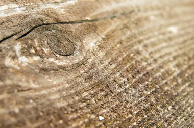 ahşap arka plan bakış açısı closeup ile