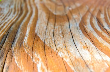 ahşap arka plan bakış açısı closeup ile
