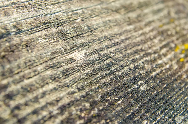 視点のクローズ アップと木製の背景 — ストック写真