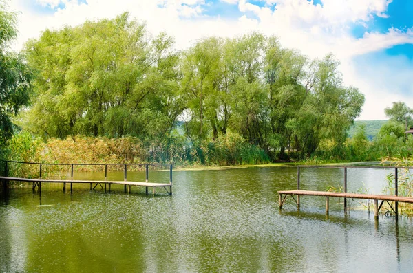 Beautiful Pond Bridge Green Trees — Stock Photo, Image