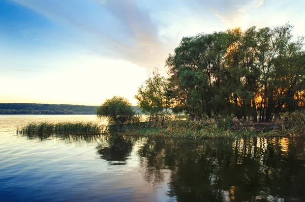 Belo Lago Com Bulrush Árvores — Fotografia de Stock