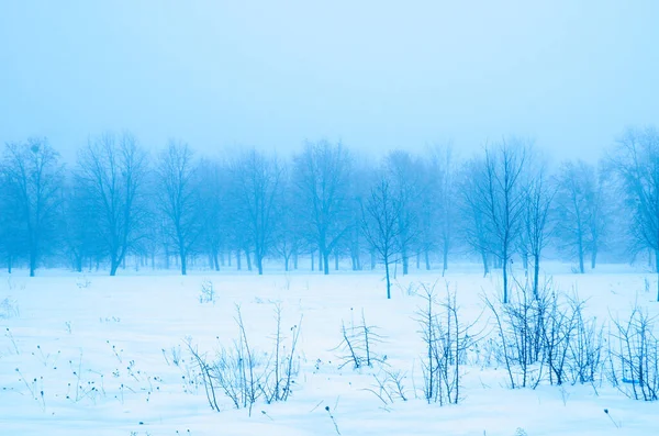 Paisagem inverno — Fotografia de Stock